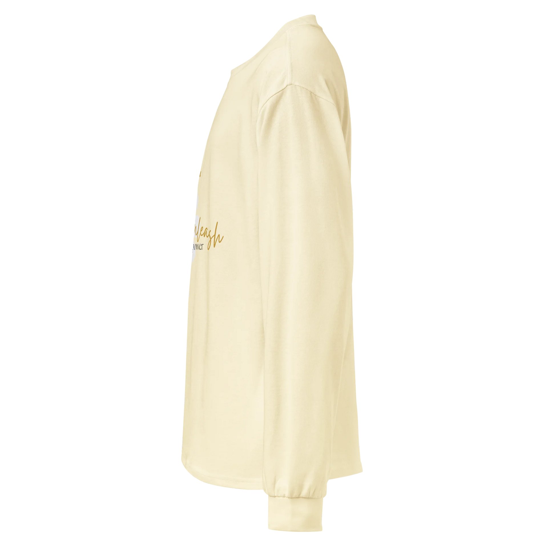 Women's Premium Heavyweight Long Sleeve Shirt HLFB0125 product image (3)