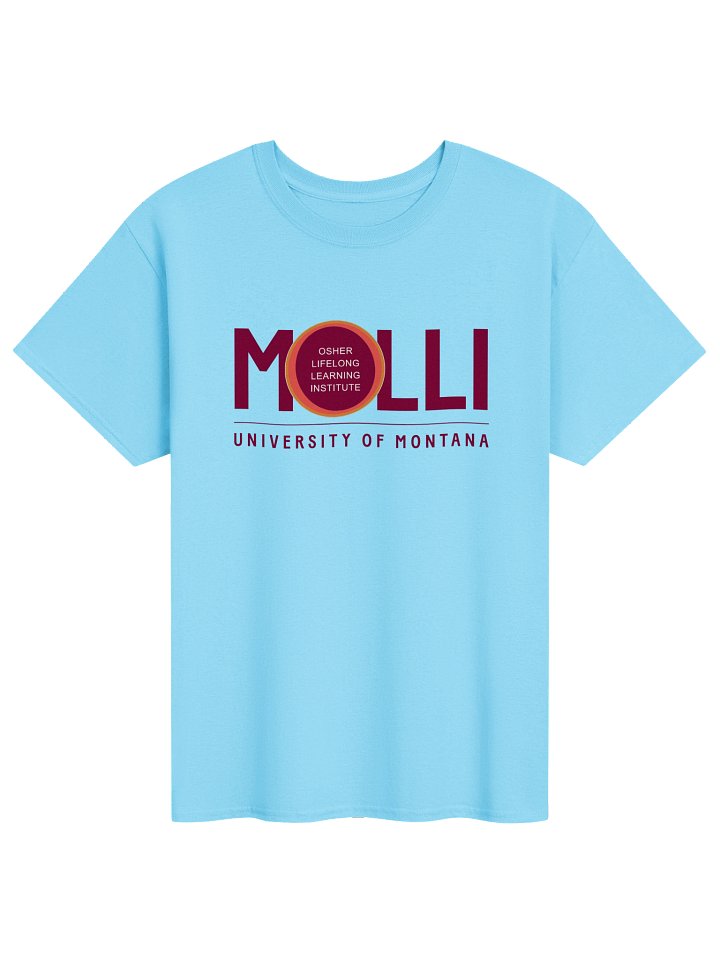 MOLLI Short Sleeve Tee - Sky product image (1)