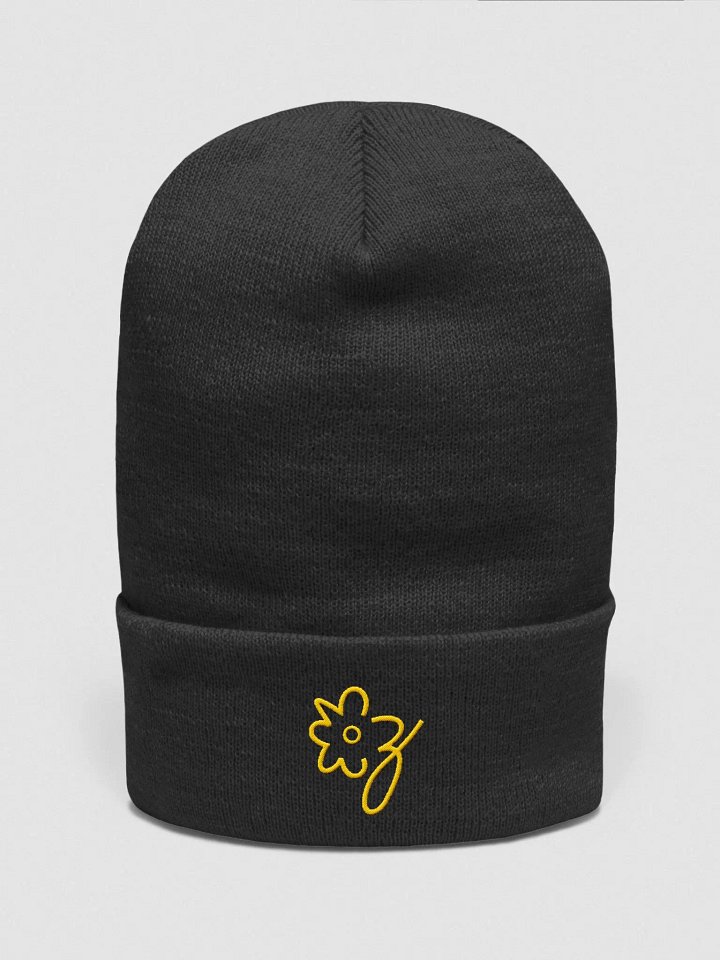 Pop product image (3)