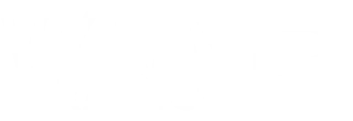 Vyra Radio Merch