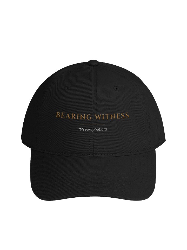 Bearing Witness Hat product image (1)