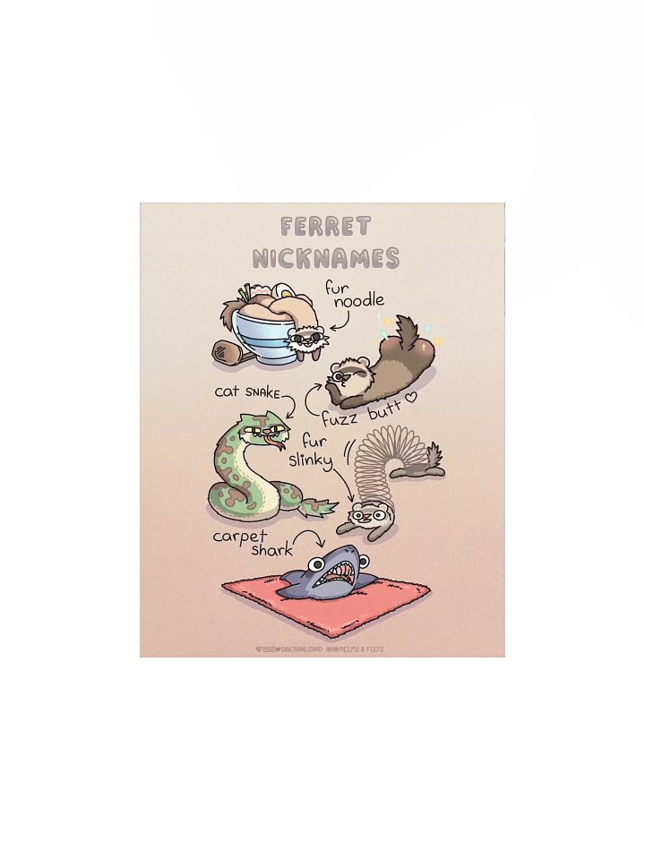 Ferret Nicknames | Bestselling Poster product image (1)