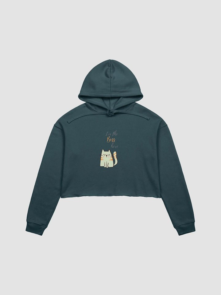 Boss Cat Vibes Crop Hoodie product image (4)
