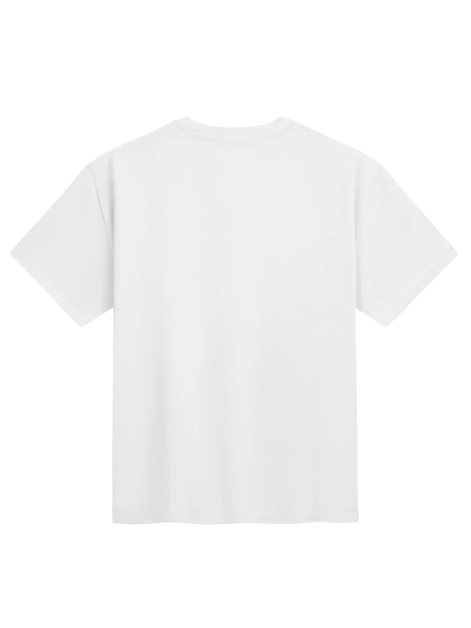 Decoding_Labs Heavyweight T Shirt Front Print product image (2)