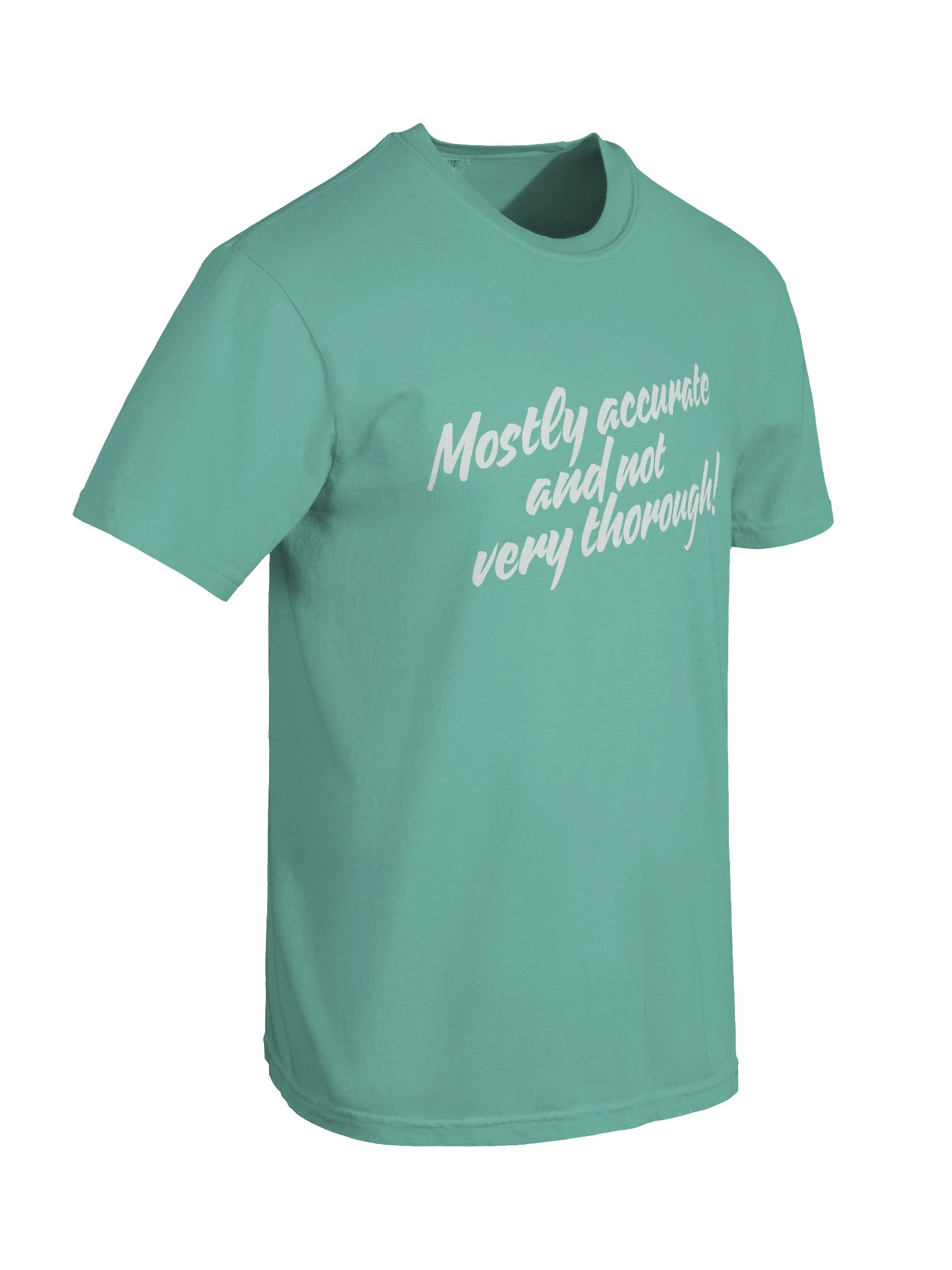 Mostly Accurate T Shirt 4 product image (66)