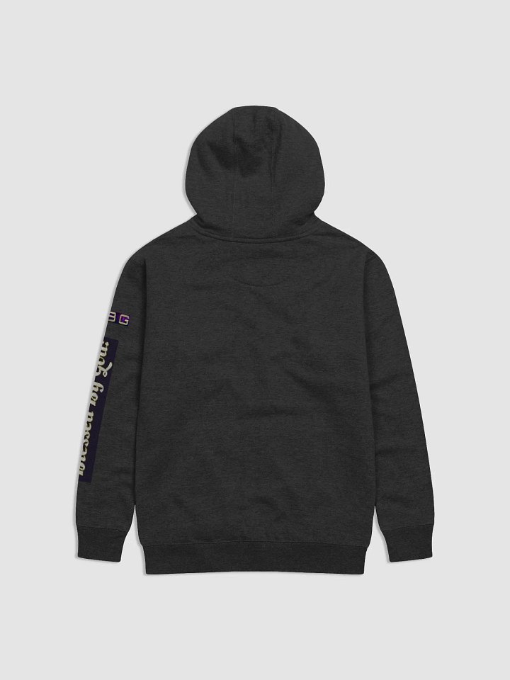 BBG Hoodie with designer sleeve product image (8)