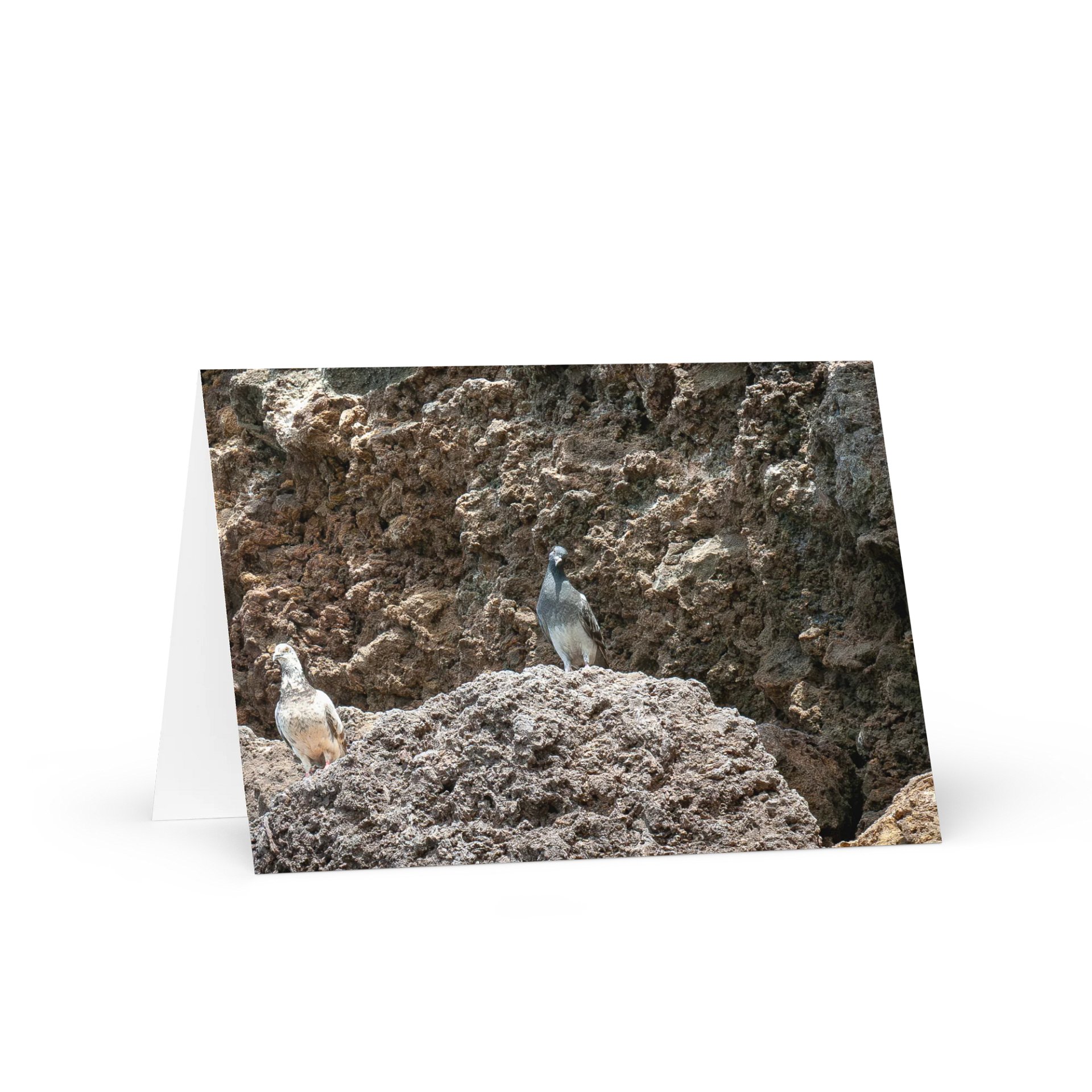 Curious Birds Greeting Card product image (1)