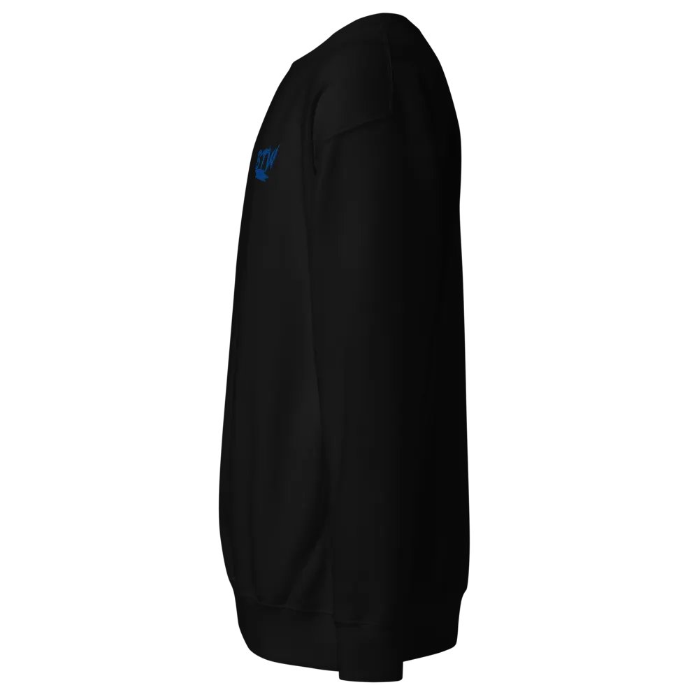 BTW long sleeve T product image (11)