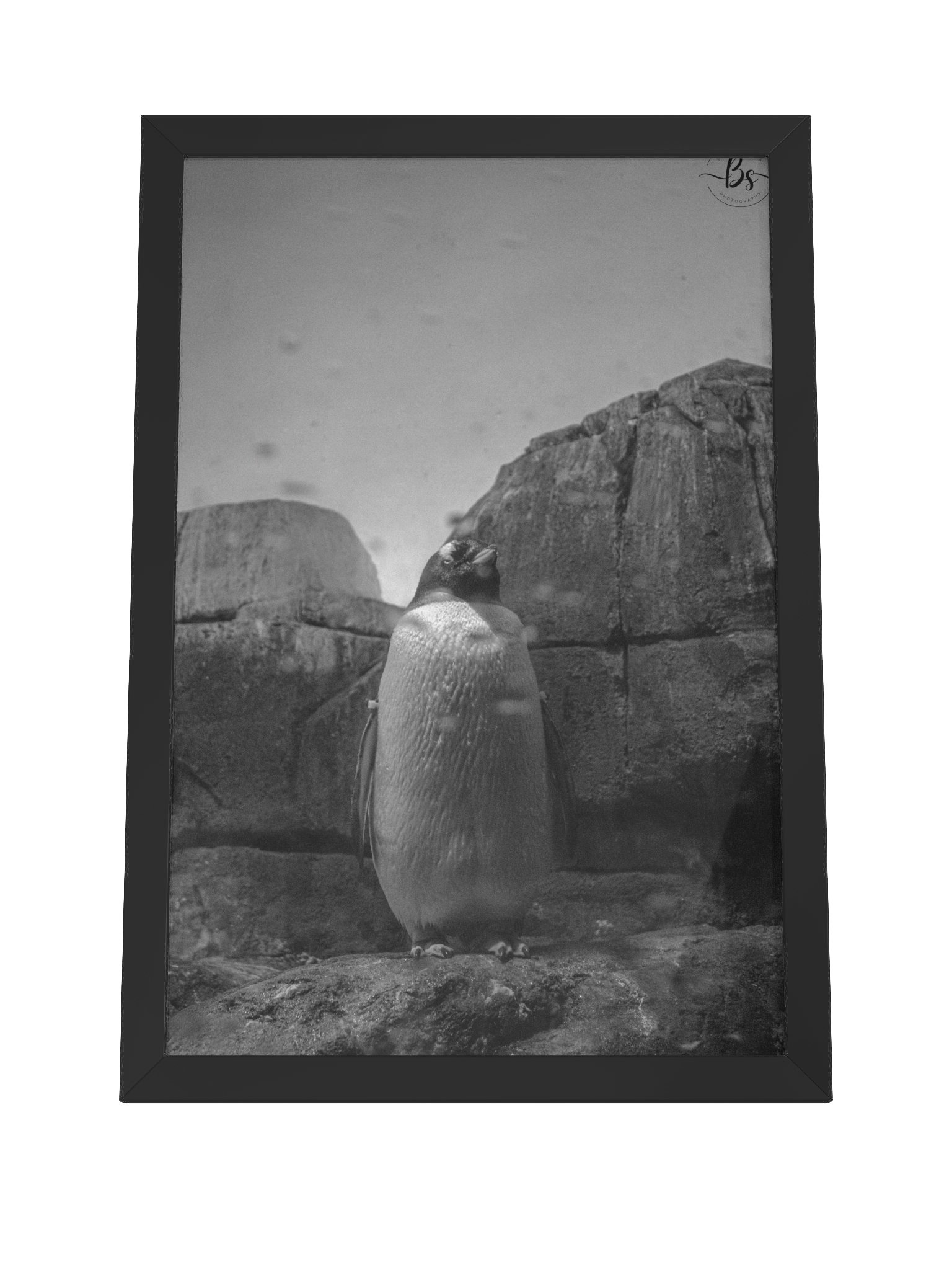 Standing tall product image (4)