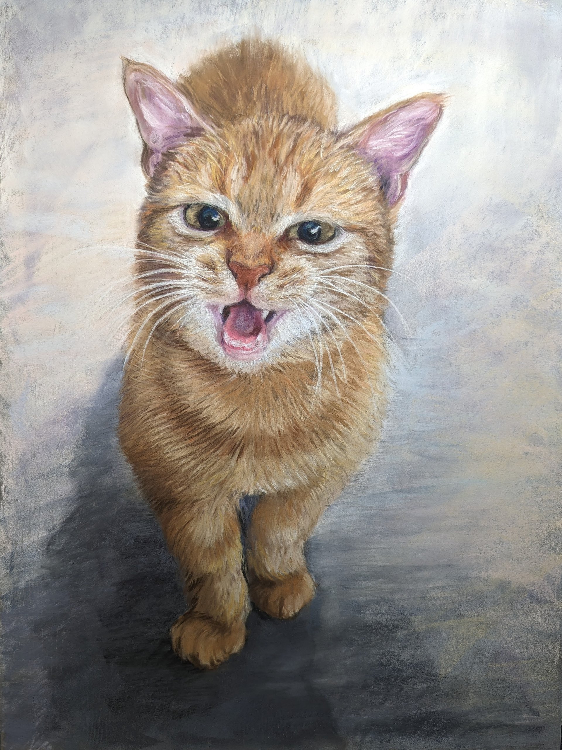 Meow product image (1)