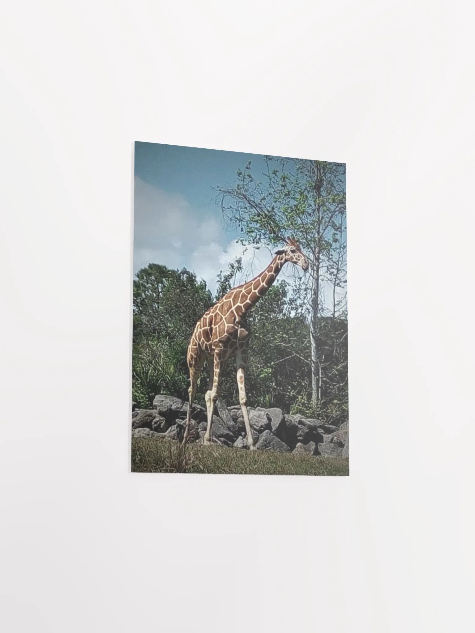Giraffe Dark Edit product image (29)