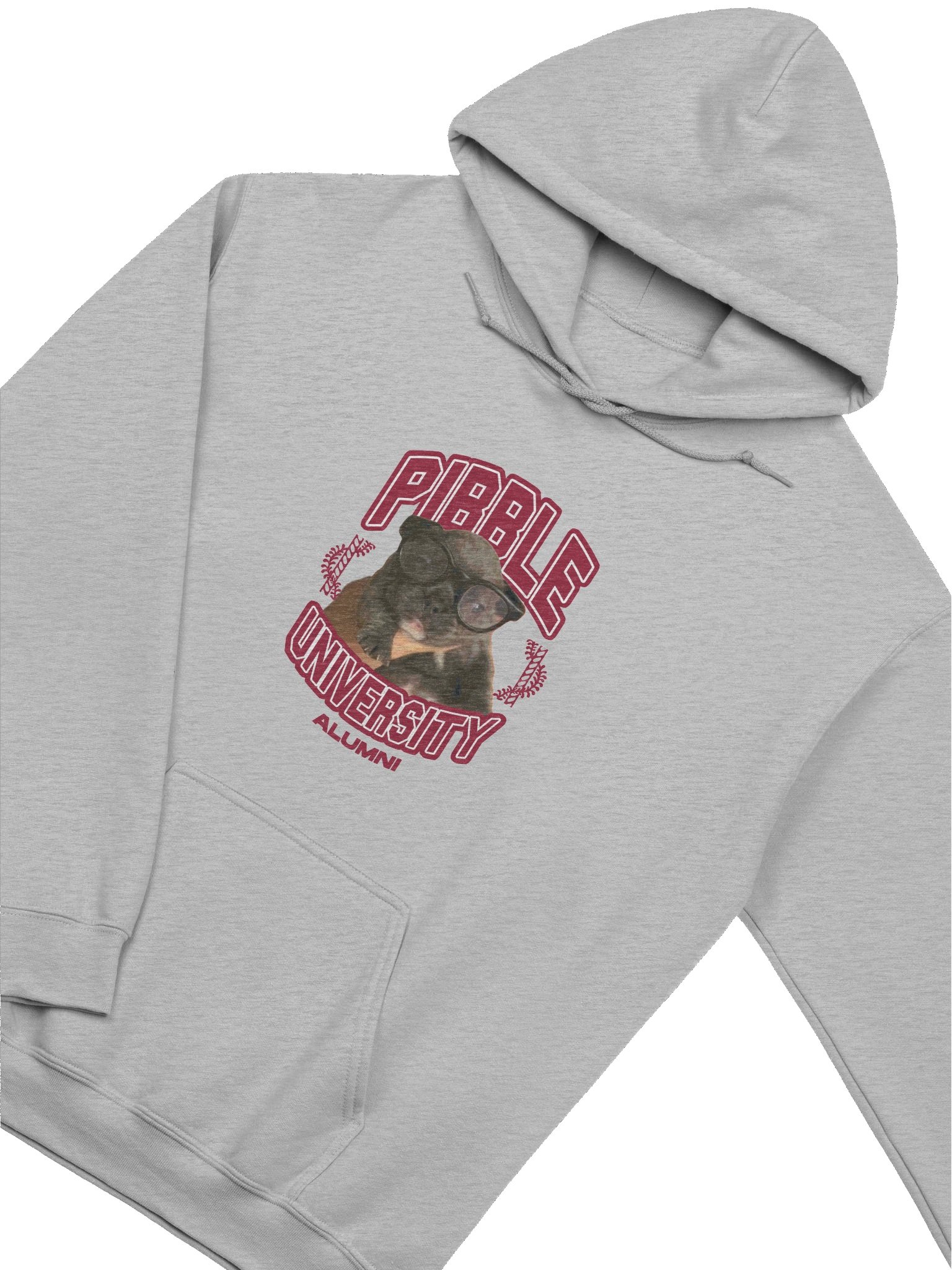 PIBBLE UNIVERSITY ALUMNI HOODIE product image (5)