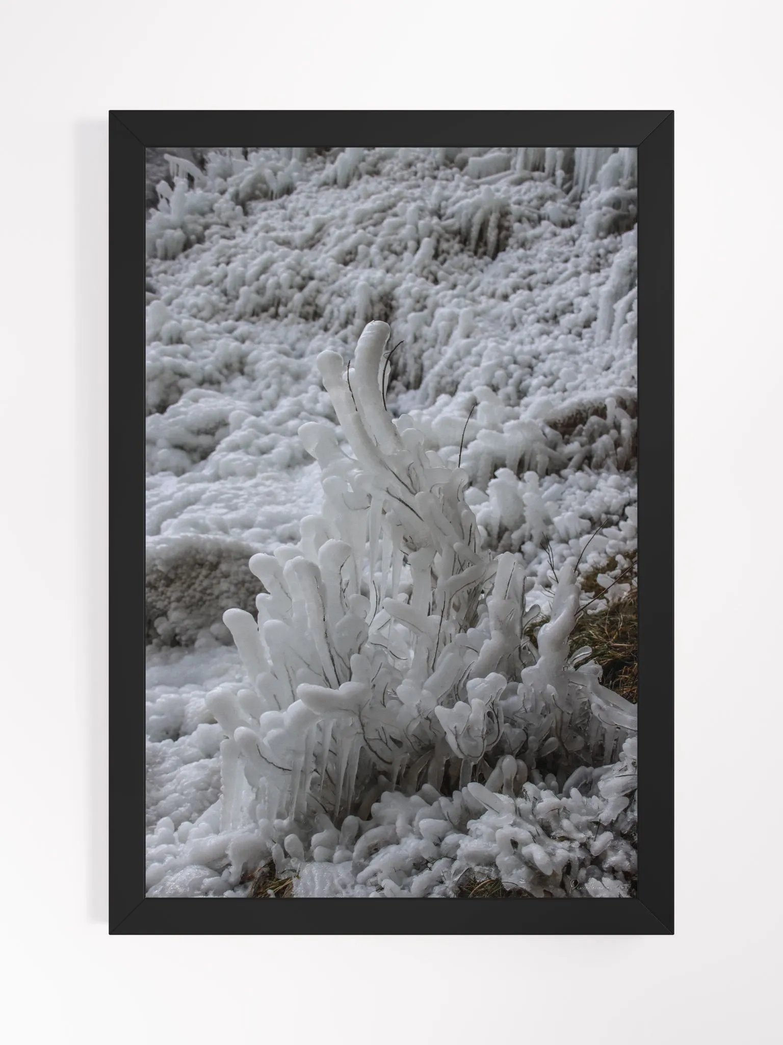 Prestige Print Fine Art - Limited edition - Frozen Elegance, Cascade de Clars product image (1)