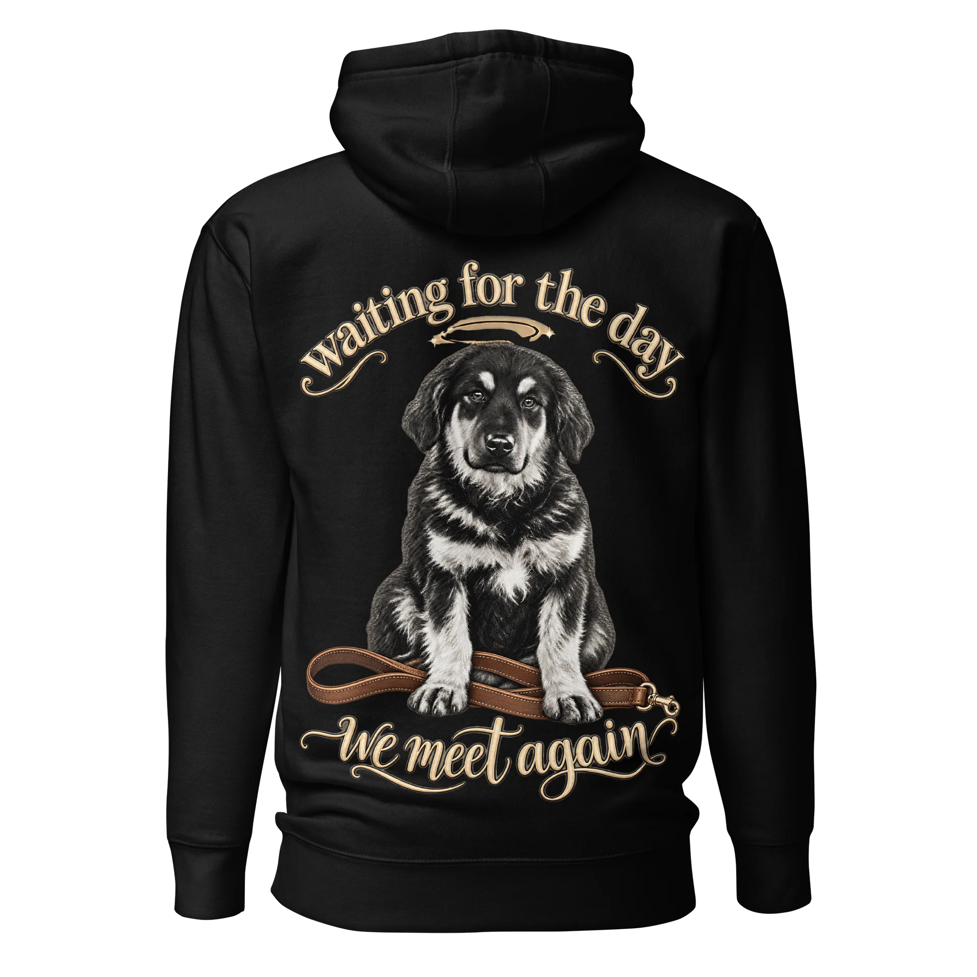 Waiting for the Day, We Meet Again Hoodie product image (1)