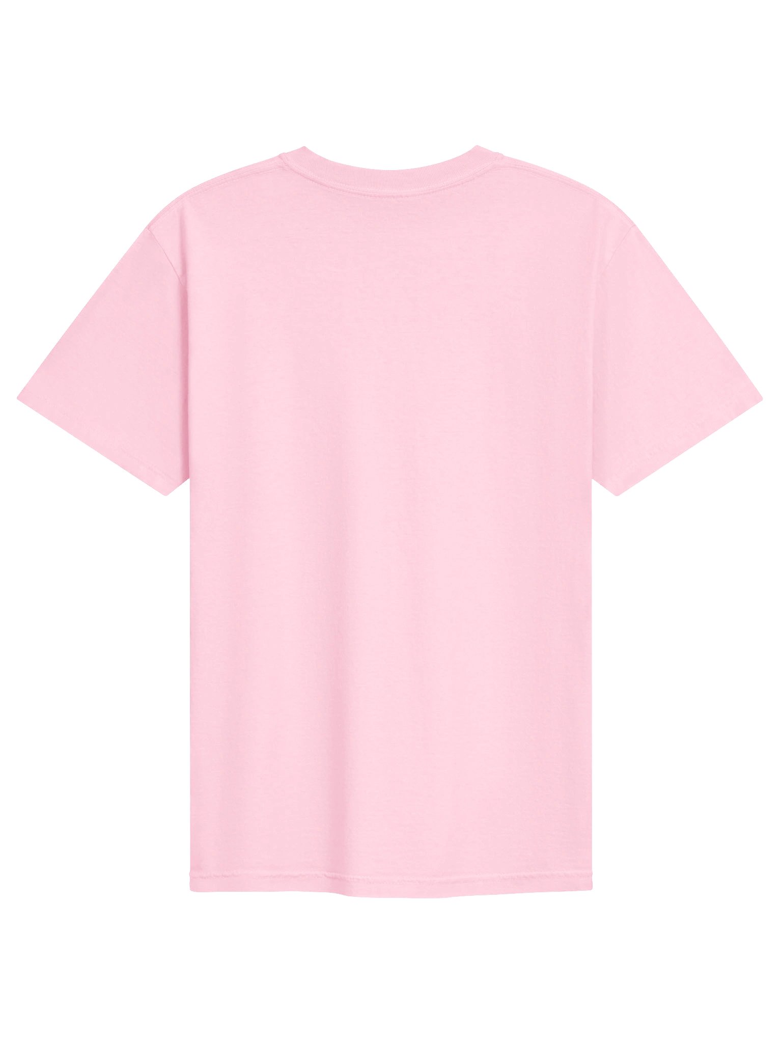 My 5-Lb Dog Has the Confidence of a 90-Lb Rottweiler T-Shirt product image (11)