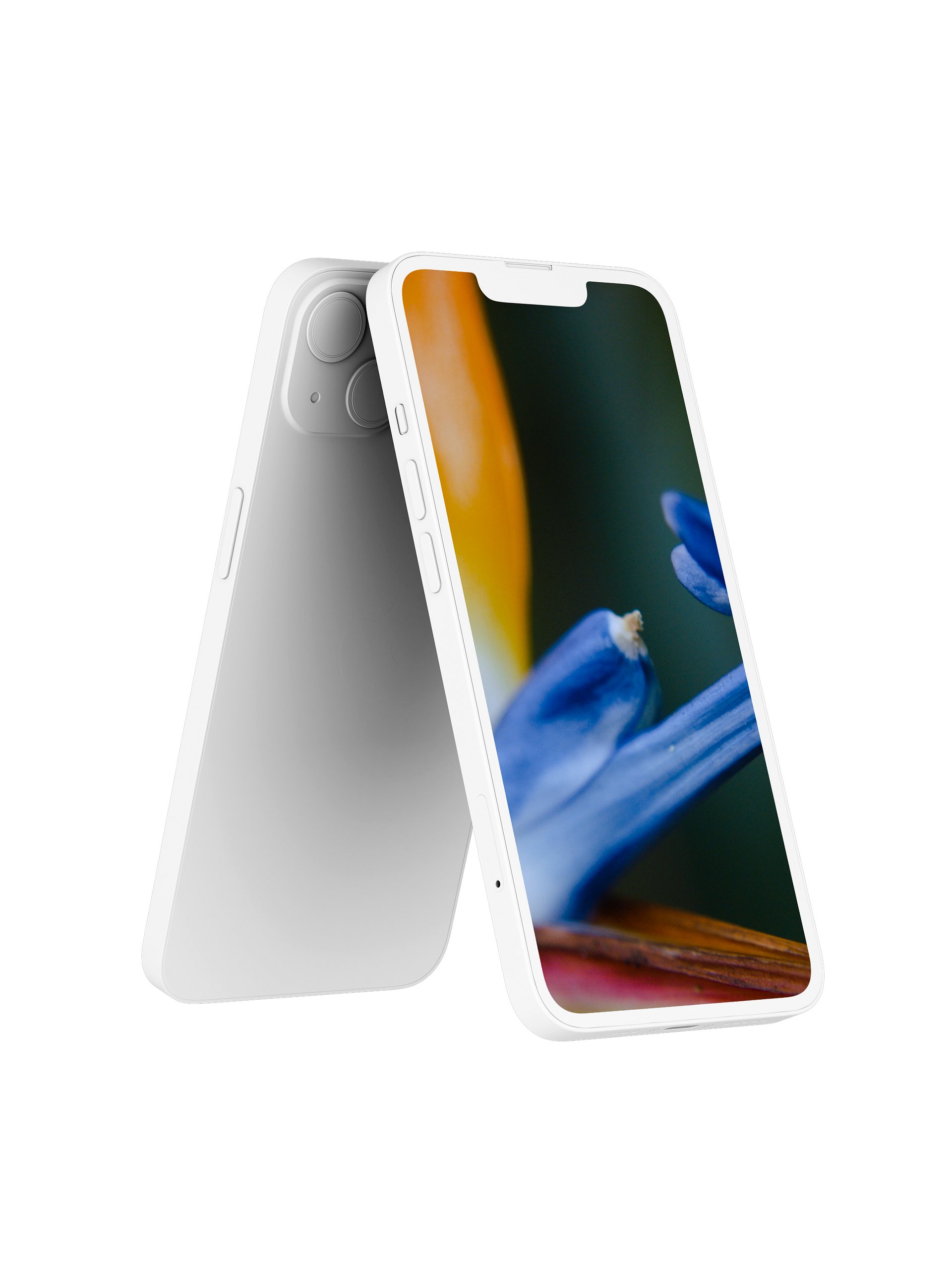 Bird of Paradise Digital Wallpaper Set product image (2)
