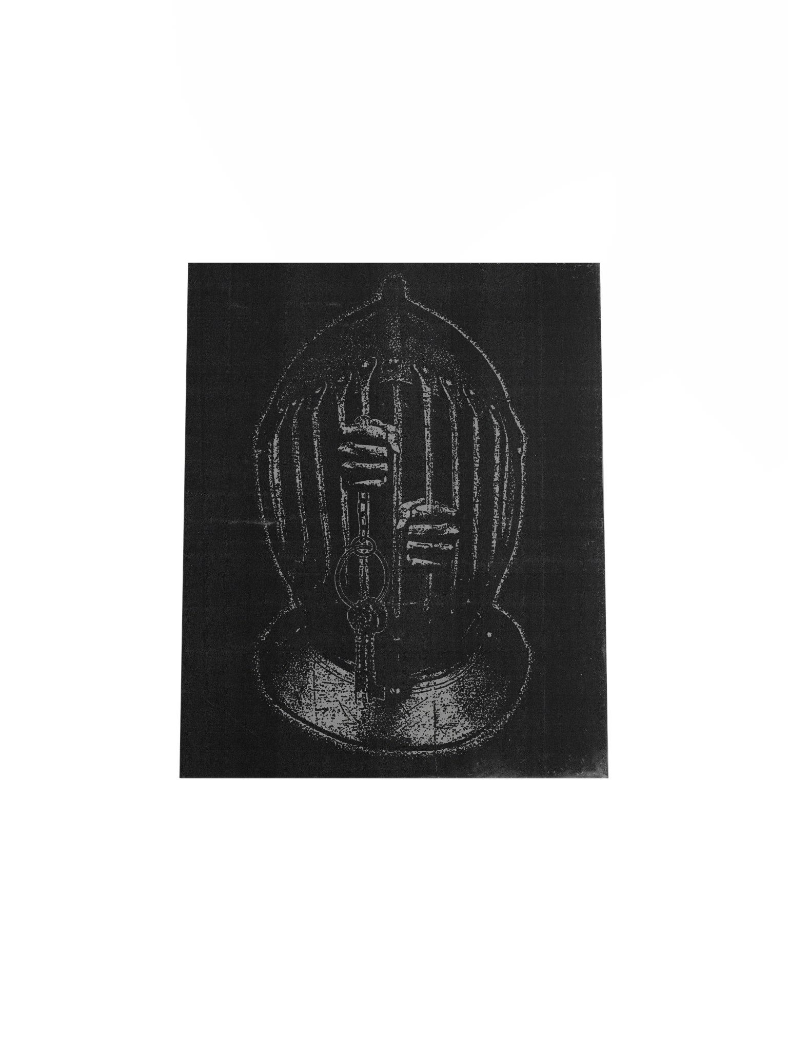 THE CAGE PRINT product image (4)
