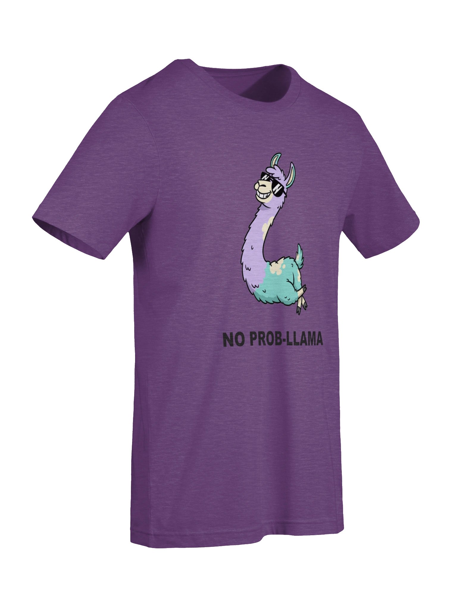 No Prob-Llama Tee product image (68)