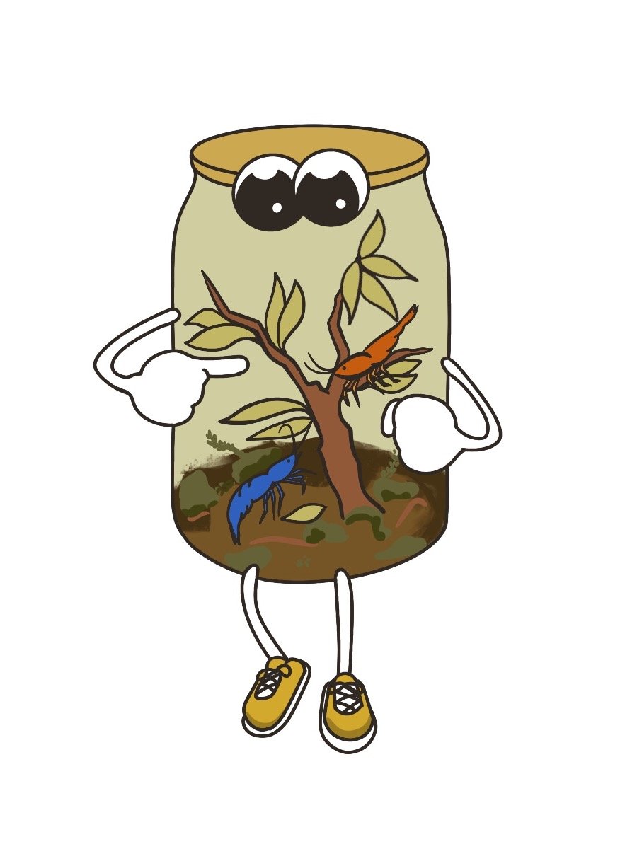 Shrimp Jar Sticker product image (4)