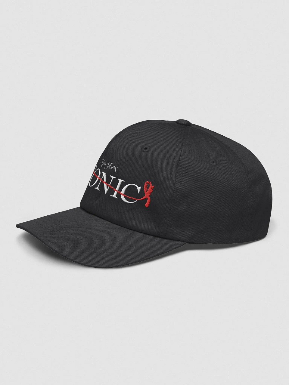 Queries ICONIC Baseball Cap product image (3)