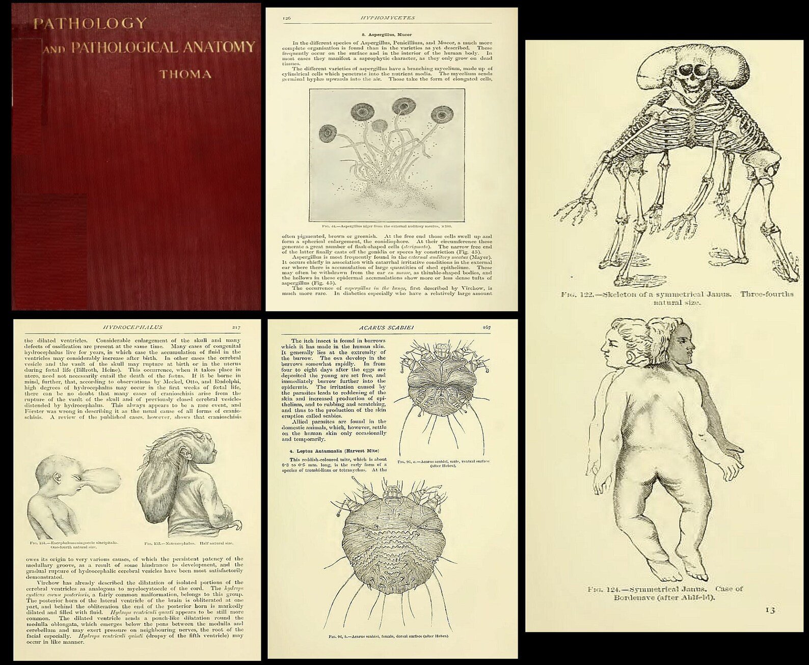 140 Rare Pathology Books product image (9)