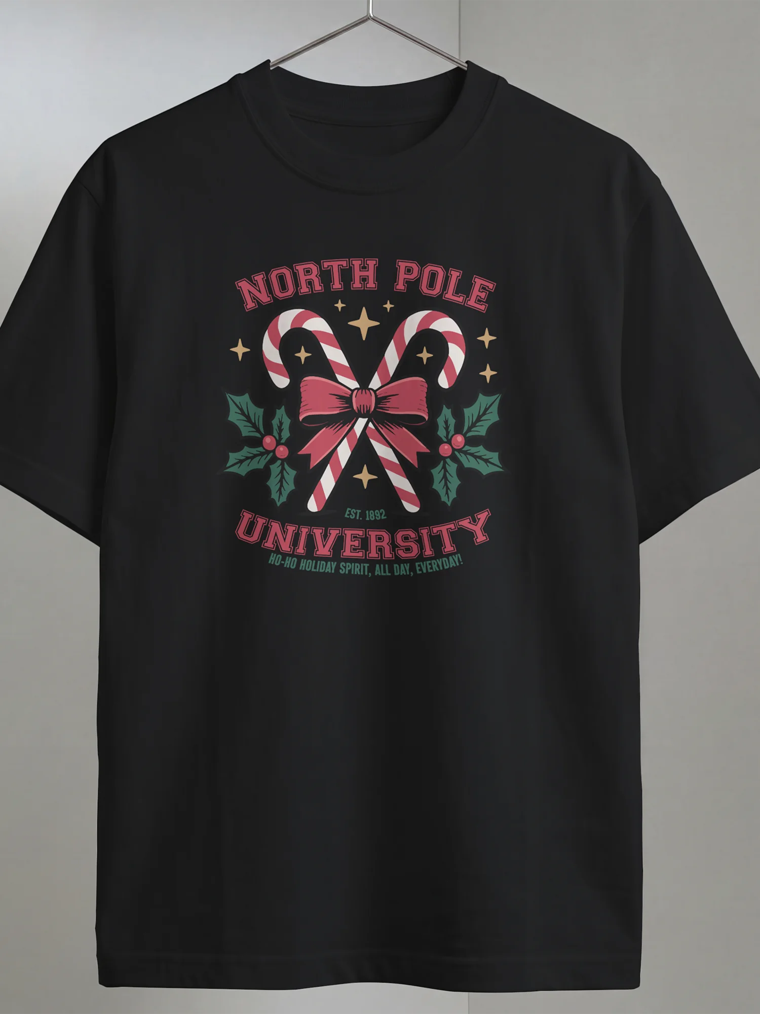 North Pole University product image (1)
