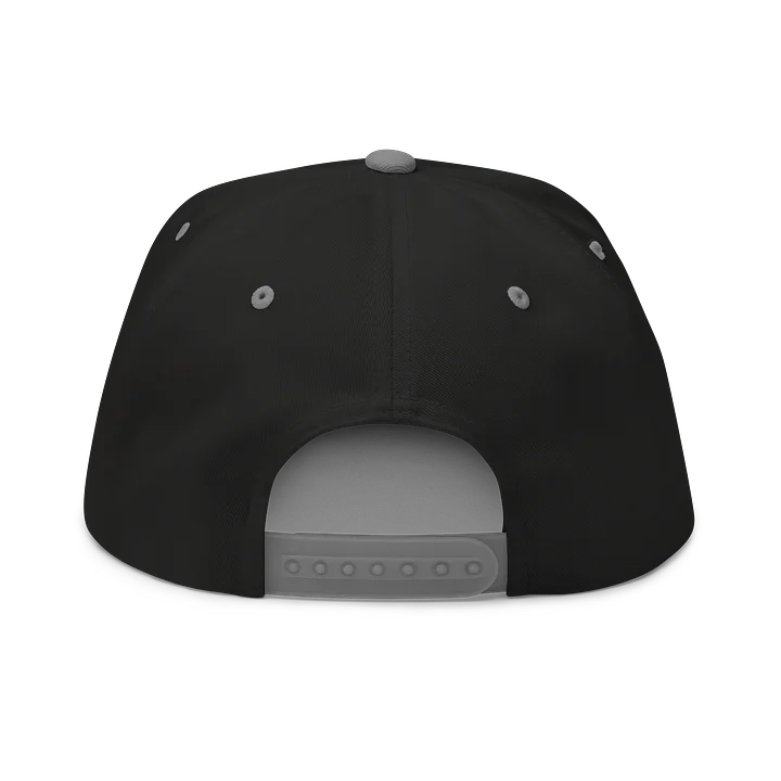 BUMPSKI & CO/POWER POWDER - Embroidered SnapBack product image (8)