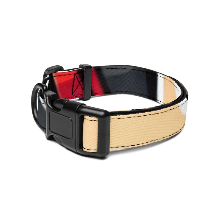 RobbinHudz Pet Collar product image (2)