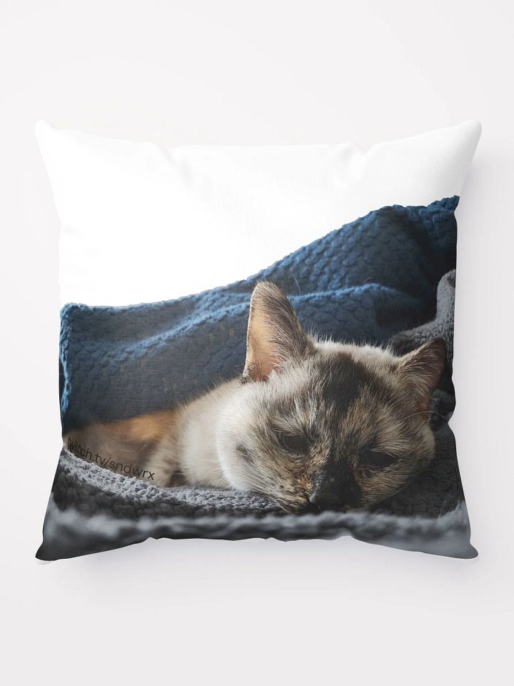 Sleepy Kitty Pillow product image (1)