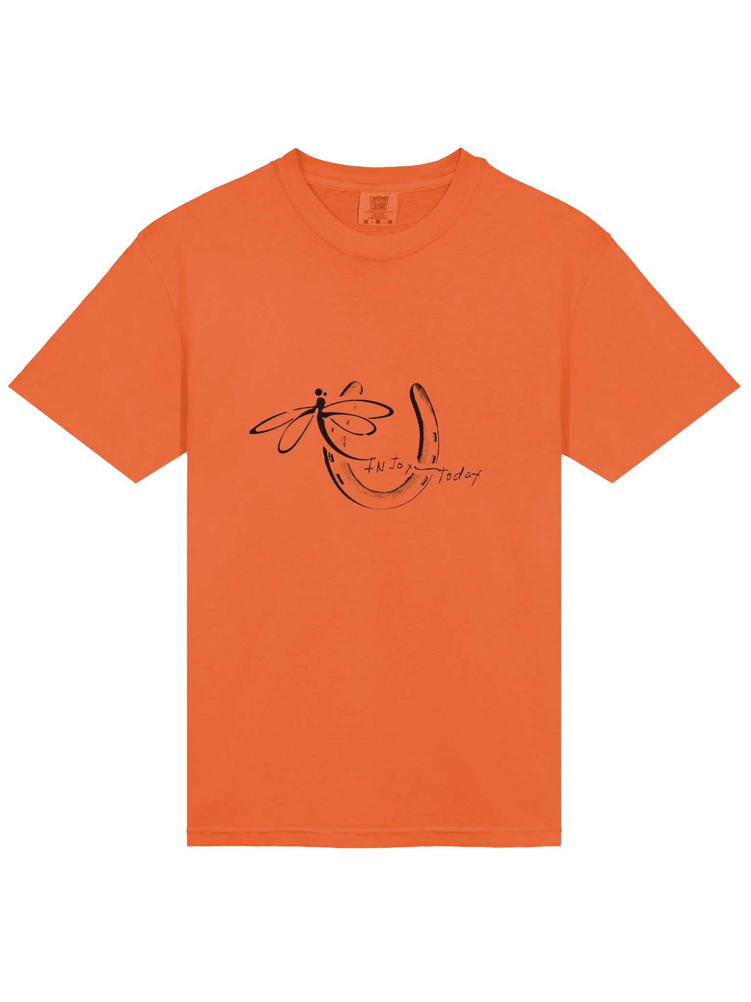 InJoy Today Daily Joy T‑Shirt| Premium Heavyweight Cotton T‑Shirt (Relaxed Unisex Fit) product image (2)