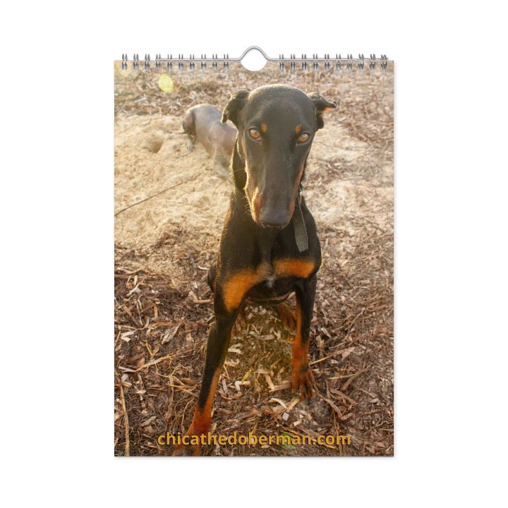 The first year - 2025 Calendar product image (1)