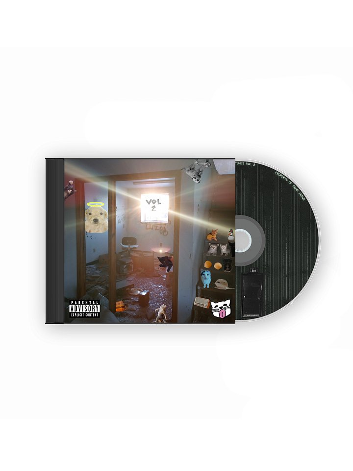 SHMOOB TUNES VOL 2 - CD product image (1)