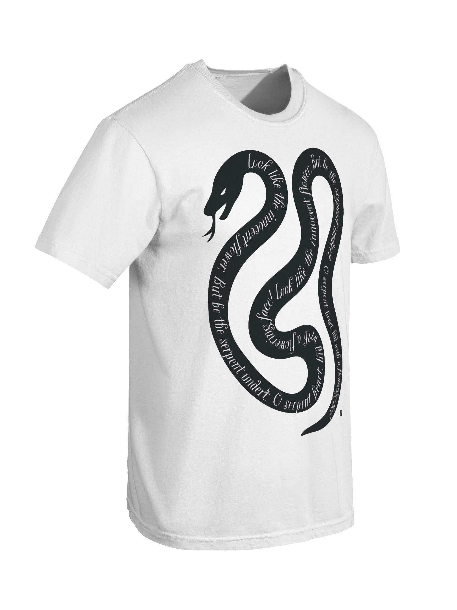 Serpent's Verse Heavyweight Tee product image (3)