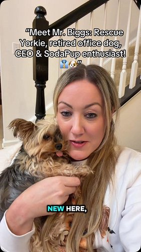 “Introducing Biggy Boxes featuring SodaPup! Because little dogs deserve BIG things! 🐾❤️” #fyp #dogsofinstagram #yorkielovers ...