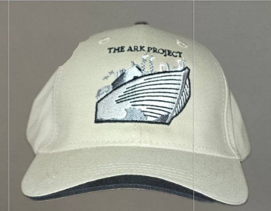The Ark Project LLC Baseball Cap (Help Fund A Better Black Wall Street product image (1)