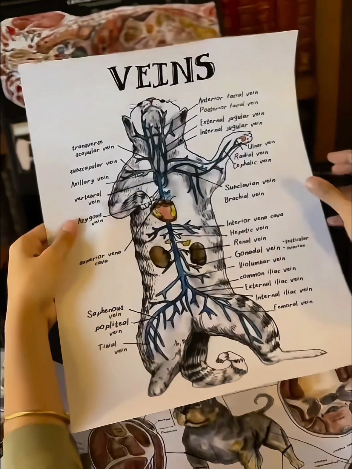 Vet Art Collector’s Gift Box product image (11)