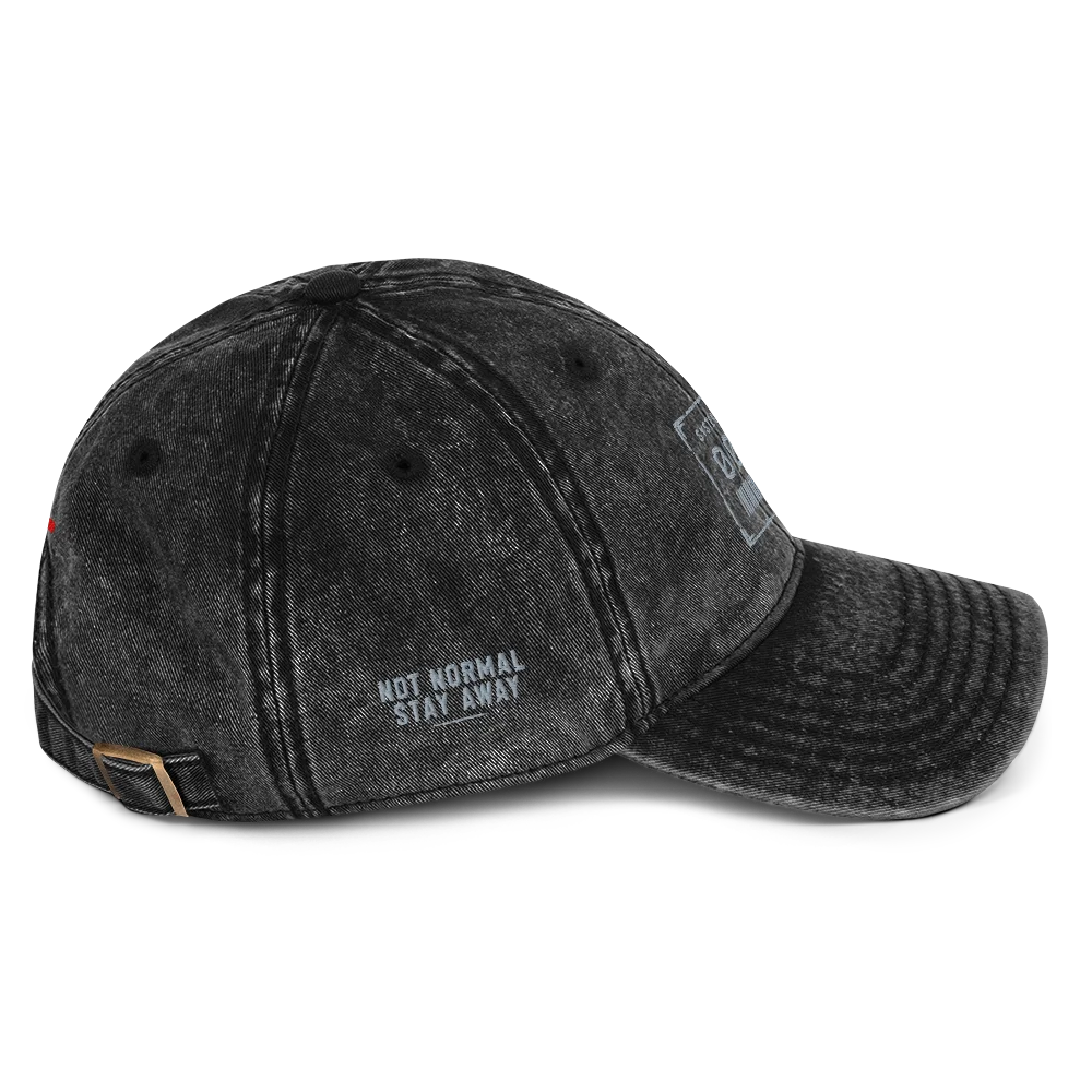 SYSTEM 1.0B — Otto Vintage Wash Dad Hat product image (3)