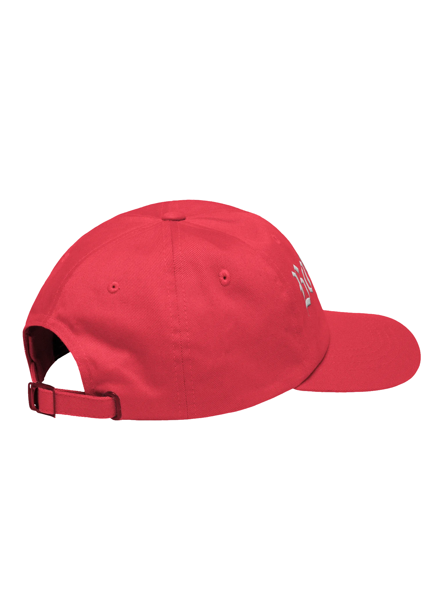 Born to Sin - Hat product image (16)
