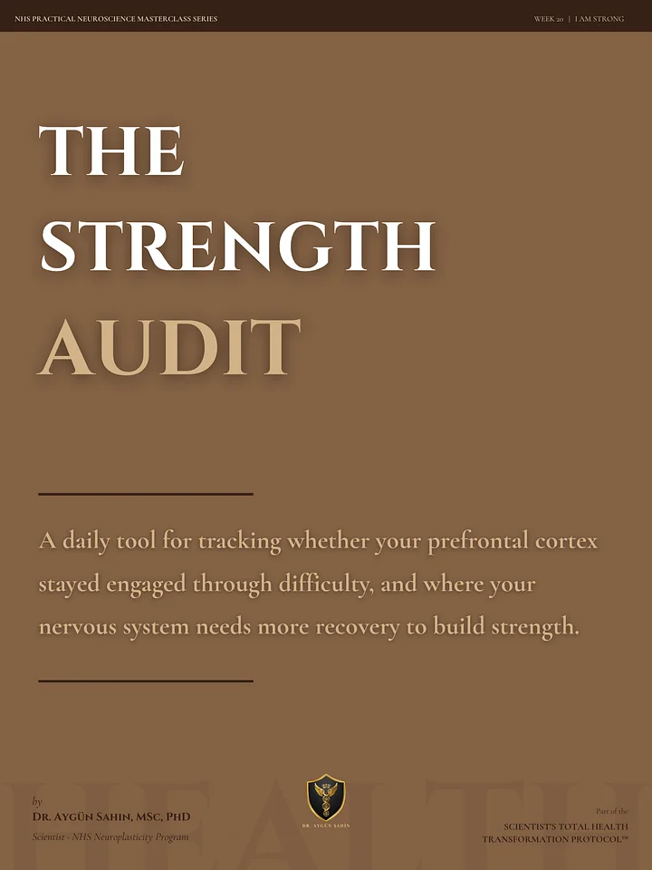 THE STRENGTH AUDIT product image (1)