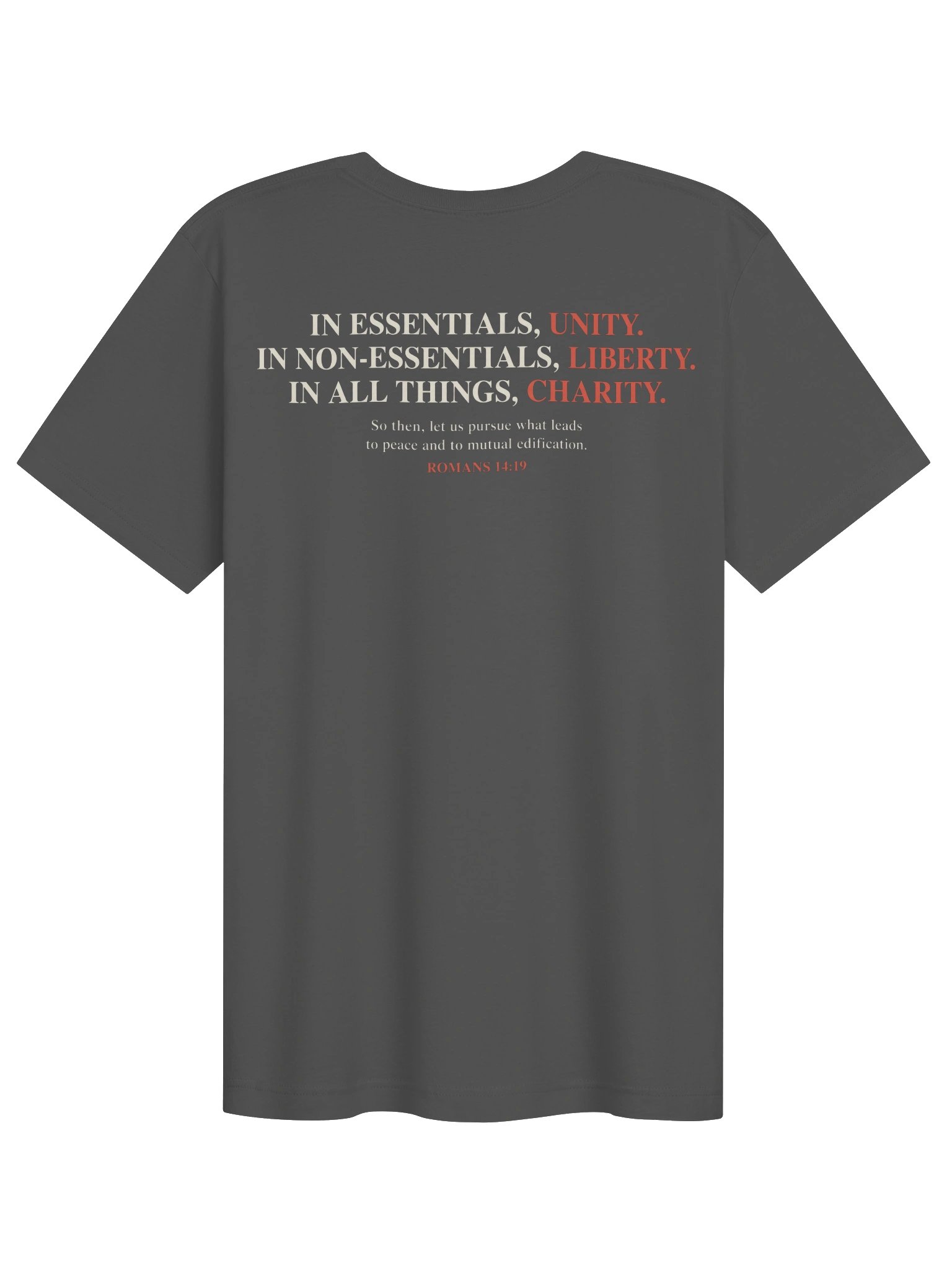 Foolish Controversies T-shirt product image (72)