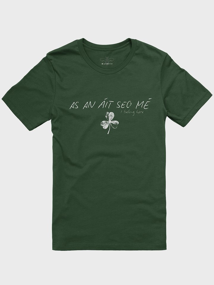 As An Áit Seo Mé ( I Belong Here) T-shirt product image (1)