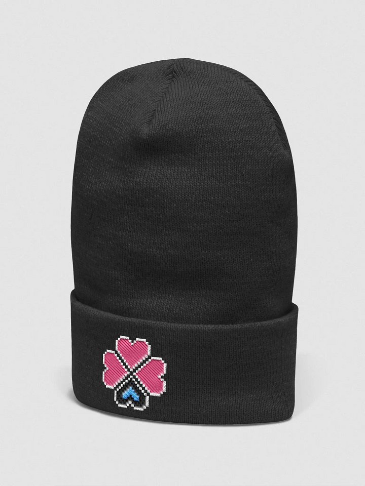 Caustic Remedy Beanie (Black) product image (2)