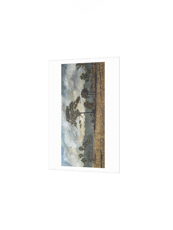 Big Cypress National Preserve Print product image (2)