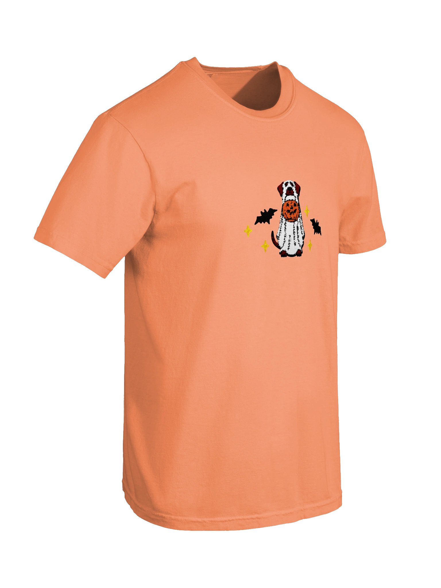 Halloween Rhodesian Ridgeback(Brindle) Embroidered T-Shirt product image (30)