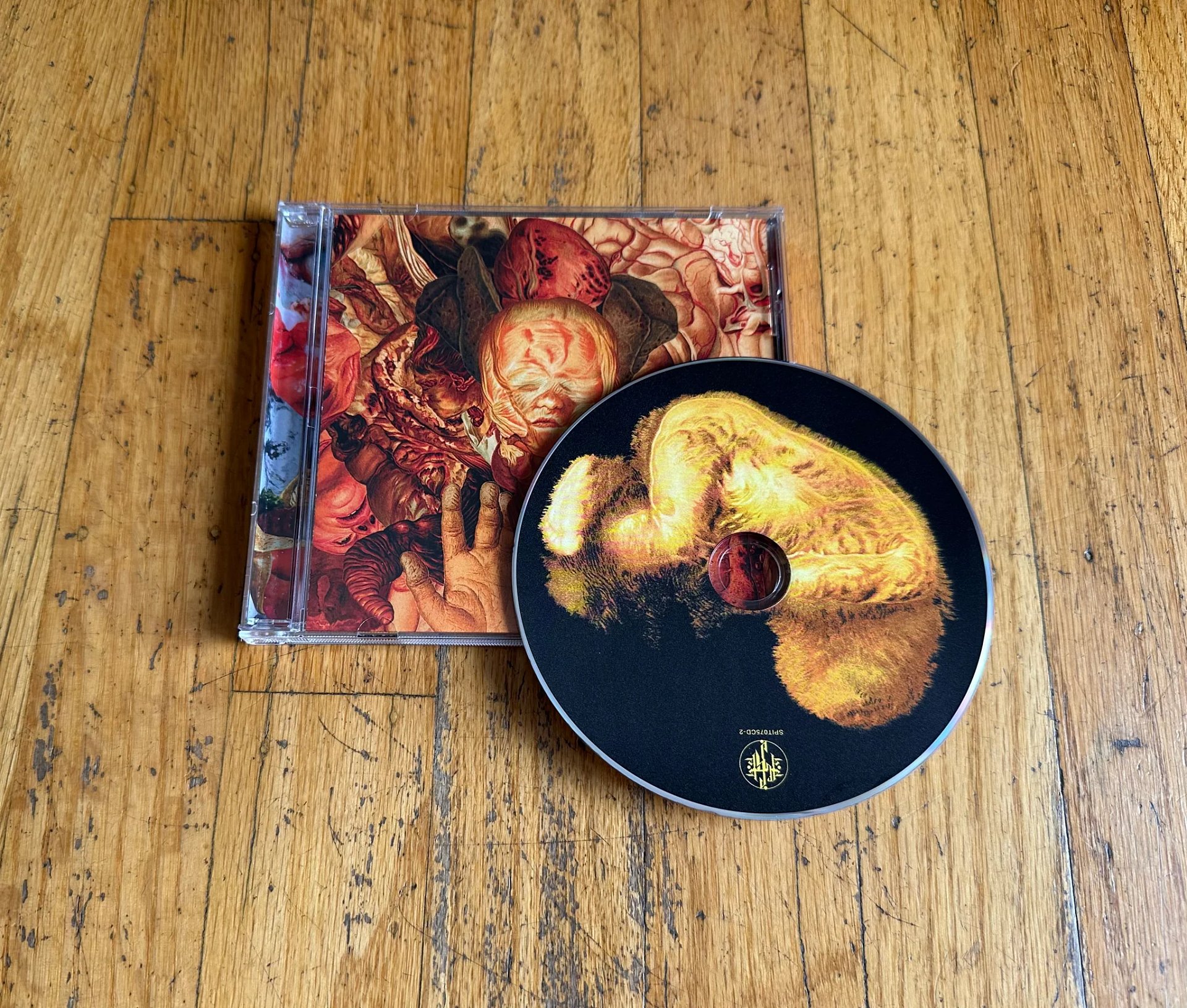 FESTERDECAY - Reality Rotten To The Core, CD product image (1)