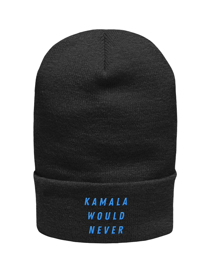 Kamala Would Never Beanie | Blue Print product image (1)