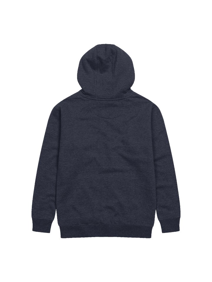 Embroidered Hoodie product image (6)