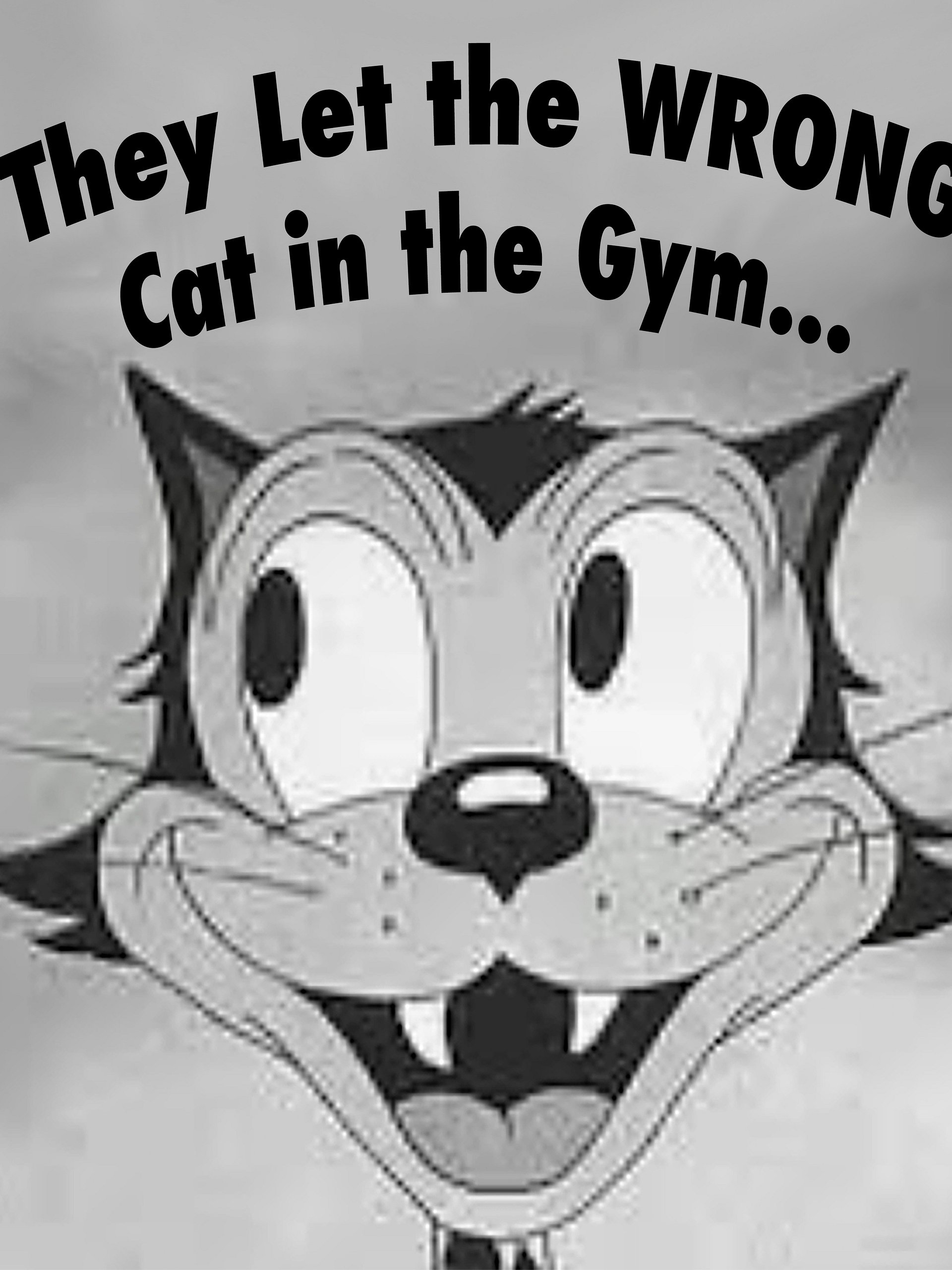 Wrong Cat in the Gym Long-sleeve product image (5)