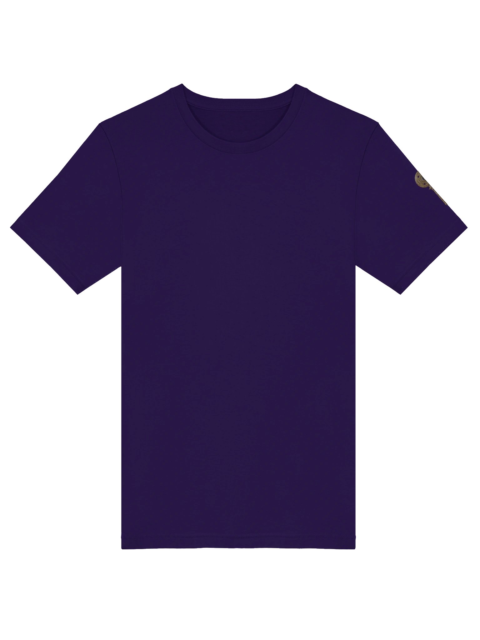 The Gatekeeper’s Key Classic T-Shirt – Back & Left Shoulder Print | Team Purple | Bella+Canvas 3001 product image (5)