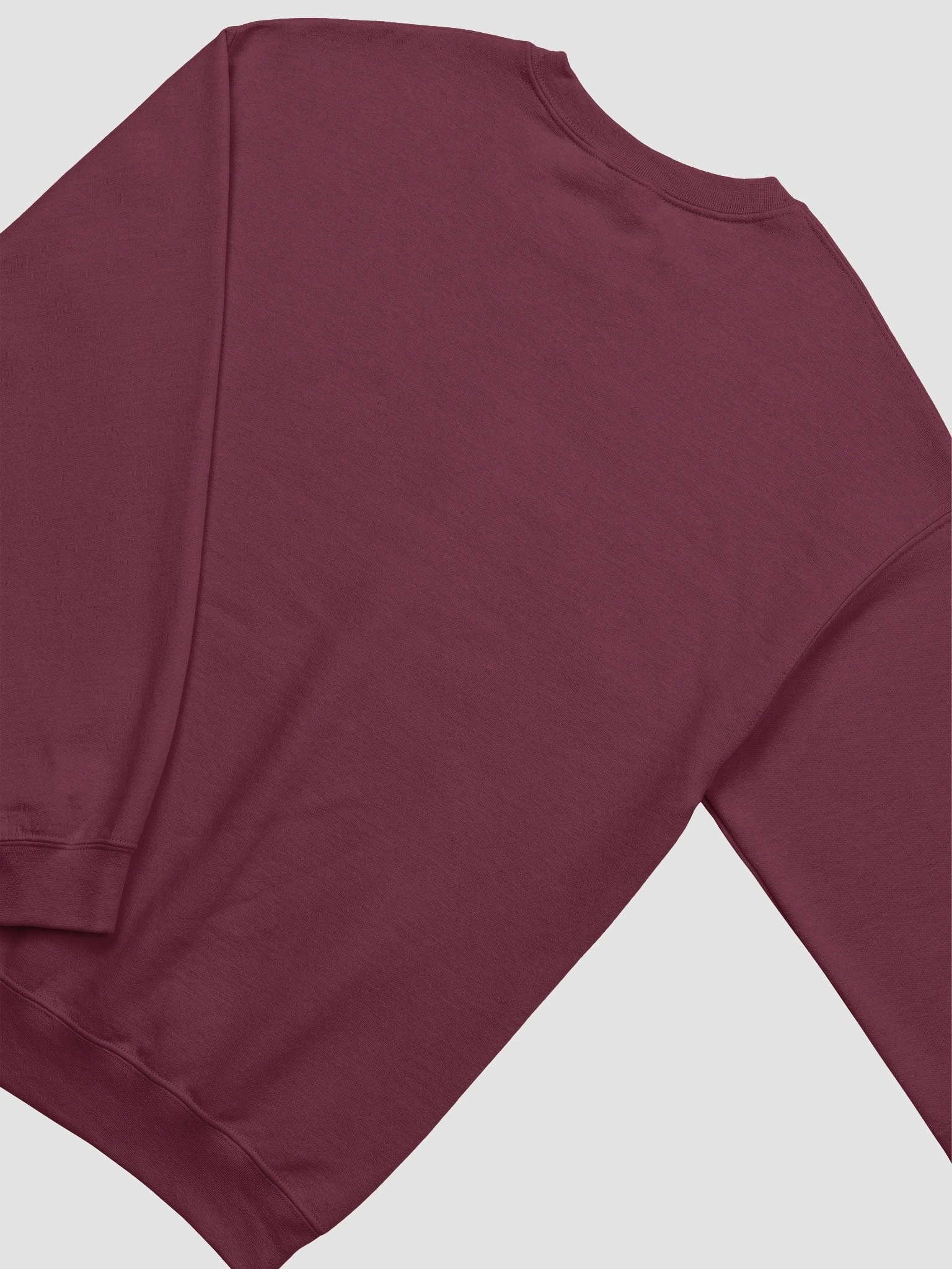 YOU ARE NOT THE PHOTO - Sweatshirt product image (23)